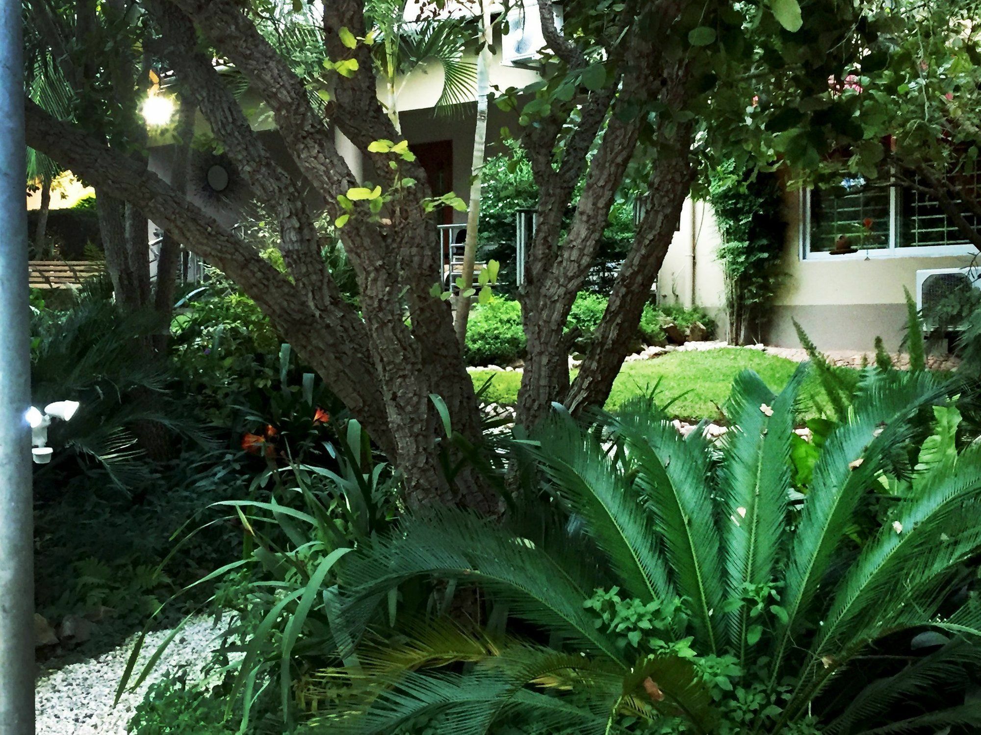 Palmwood Lodge Lusaka Exterior foto